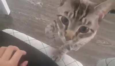 Einstein needs love!