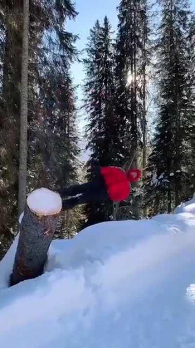 Безудержное новогоднее веселье