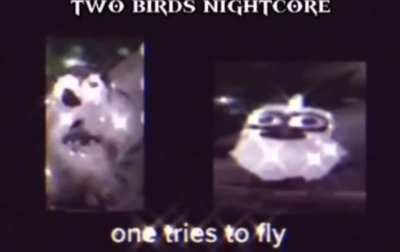 I can’t stop fucking laughing at this