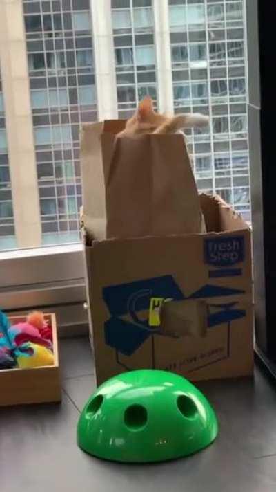 Battle of The Somme, 1916: A British infantryman recedes into the trenches after being spotted by German forces