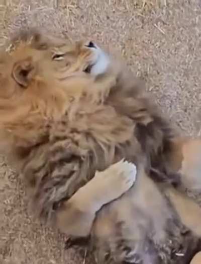 If deadly why friend shape?