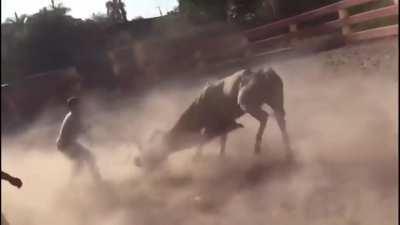 He is literally screaming 