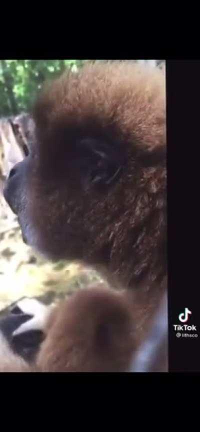 Me running to Superstonk after hearing Mellisa Lee say naked shorting on CNBC 😂