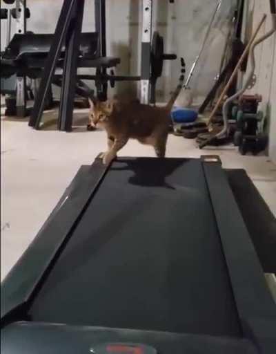 Maybe I don't need it... this sport