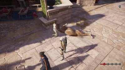 [Assassin's Creed Odyssey] Is my horse okay?