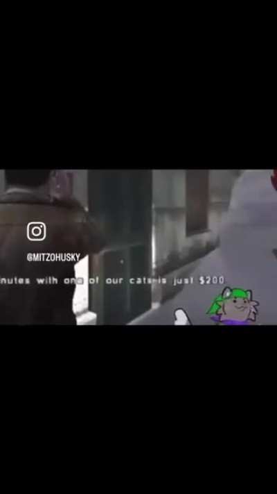 Losetcity Kitty Retreat