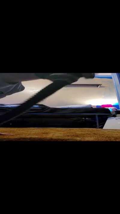 What's funny is you can hear spongbob in ze background