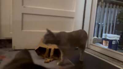 Sit’n & hope’n & wait’n & wish’n