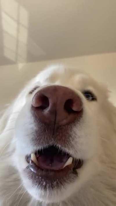 Abigail telling us all about her woes