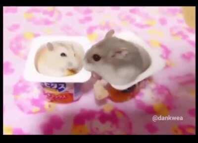 Getting smacked for attempted robbery