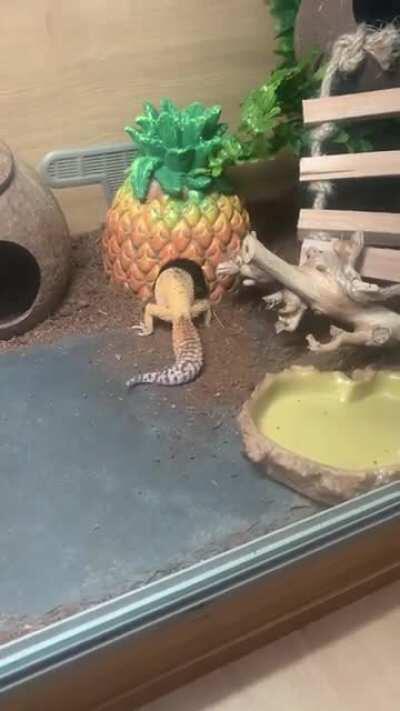 Apparently he’s making some housing adjustments 😂