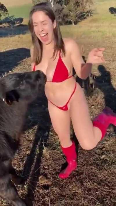 Cows are friends, not food