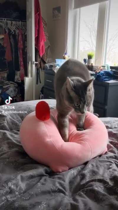 Making biscuits with Kirby