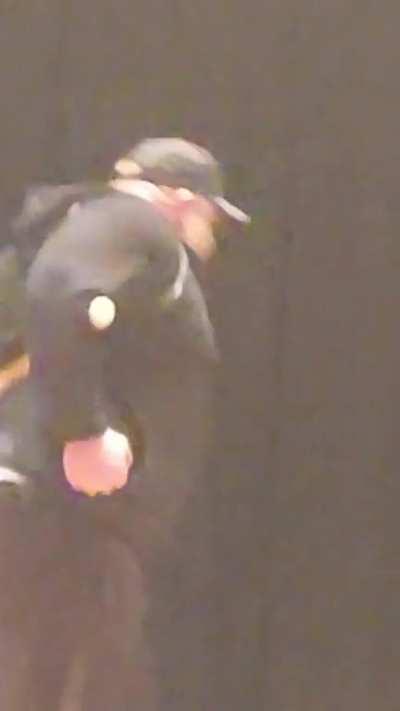 Guy breaks bat with his spine at high school assembly. Amazing how high schoolers freak out so much when it comes to breaking things 