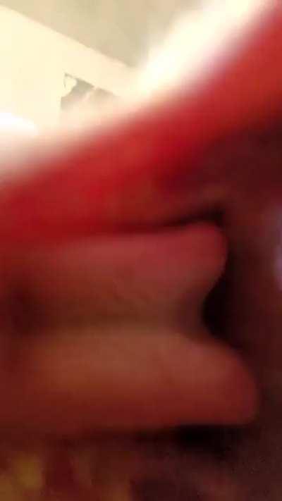 Bongos and Chomp....