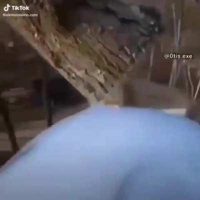 A 4 años del dab mi gente