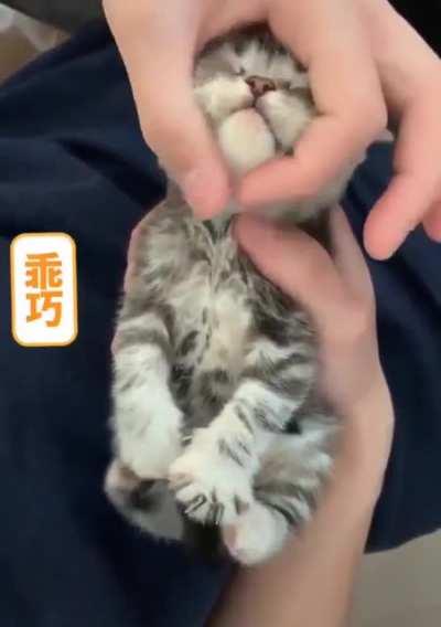 Look at them happy toes!