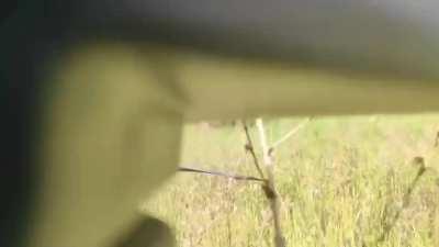 Hi, dear Reddit community! Today I would like to share a video of the rescue of a drone that we purchased earlier and invite you to join the next collection for the drone. the amount of the collection is $ 3200. more information in the comments.