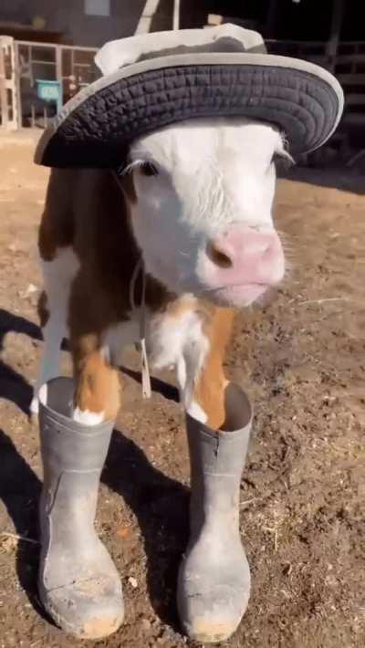 Feeling country might delete later 😂