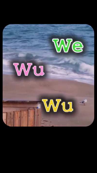 Waiauwiwiauiwiwiiwiwiwiw👁