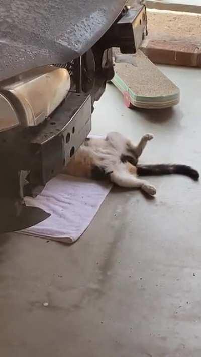 I think my mechanic fell asleep on the job