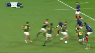 Kwagga doing Kwagga things