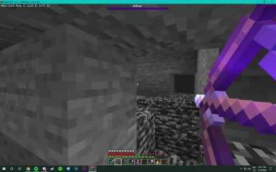 a nether star wasn't the only thing this wither gave me