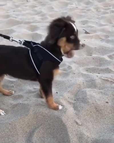 Sand is forbidden salt