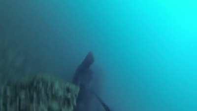 Freighter passes right over diver