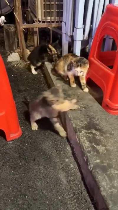 What happens when you refuse to share