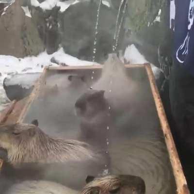 Me and the bois waiting nice and relaxed for the squeeze to happen