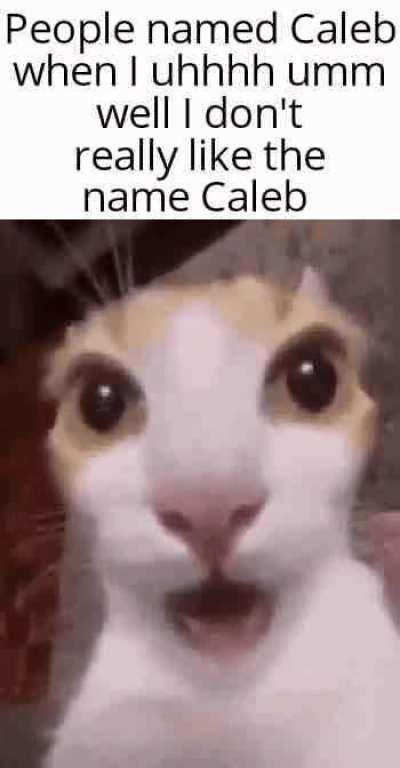 If your name is Caleb I won't judge you for it but just know your name sucks
