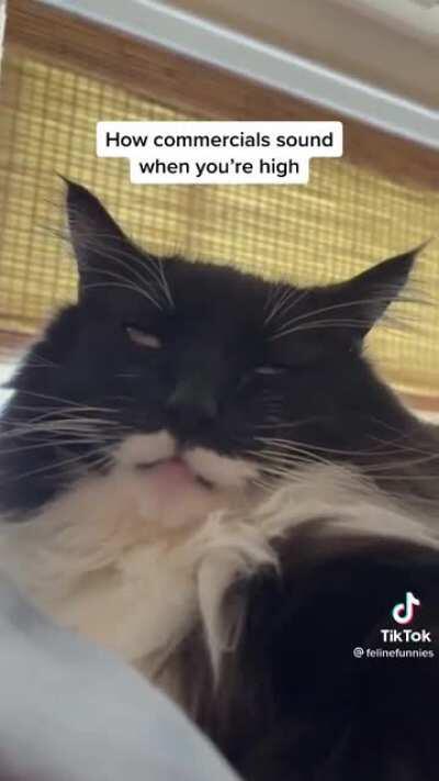 How commercials sound when you’re high