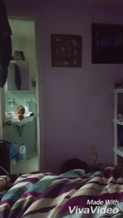 No way. Not gonna make it.