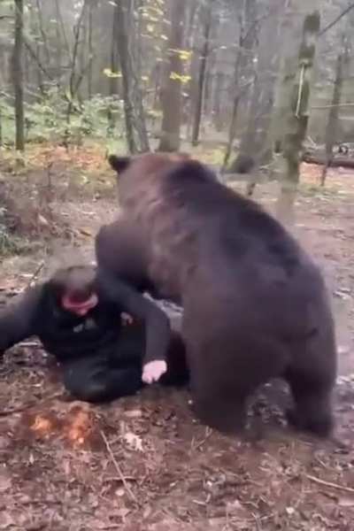Bearly even friends then somebody bends..