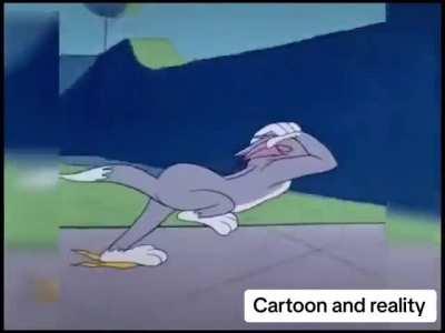 Cartoon vs reality 