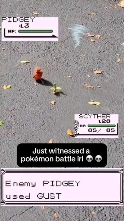 Am i the only one that sees the world like this?😂