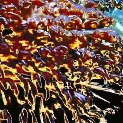 2 days no sleep, stimulant-induced psychosis and cheap instant noodles allowed me to make this video