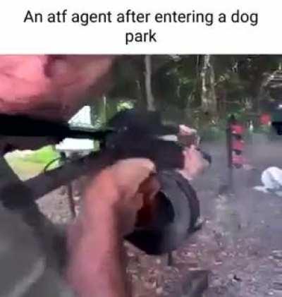 This is why my pet of choice is a squirrel