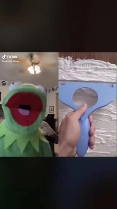 The only kind of TikTok that I like