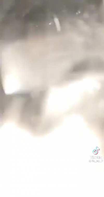 ‘its a live squi-‘