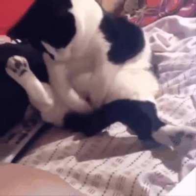 GenZ at home after their first lecture on reproduction