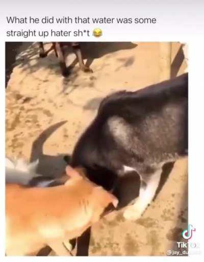 Not NY related but this is funny af to me bro☠️☠️☠️☠️☠️