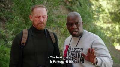 How designer describes color.