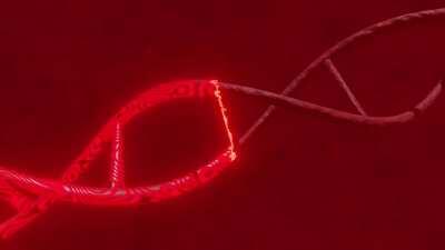 I'm made it a GIF since a lot of people asked for it