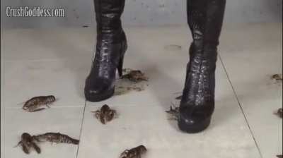 Jocelyn - Bug Crushed