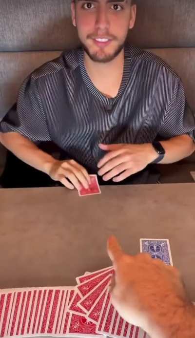 Double blinding in research be like.