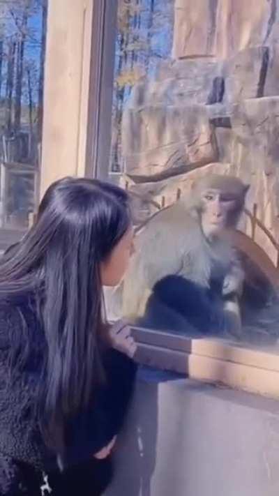 Respect CHAD Bandar XD