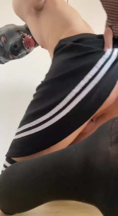 Just a mindless pup showing off Ù~Ú