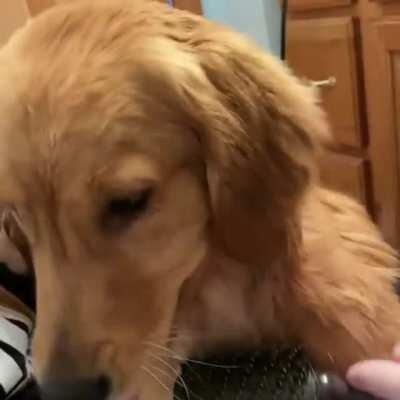 Living her best life with her Aunties